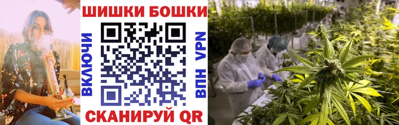 Купить наркоту Борисоглебск Cocaine Мефедрон Гашиш А ПВП Псилоцибиновые грибы kraken как войти Конопля