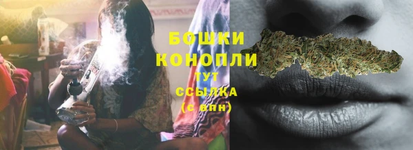 эйфоретик Новозыбков