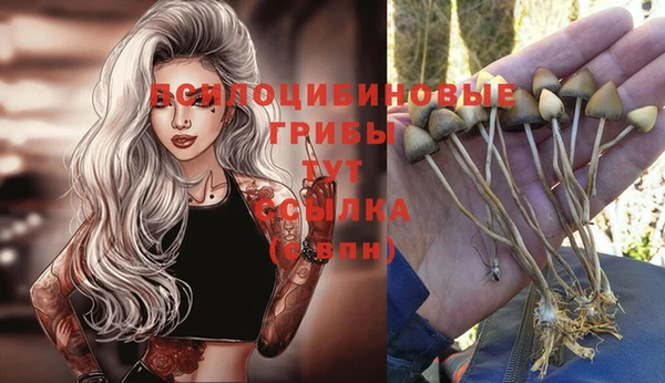 наркотики Новодвинск