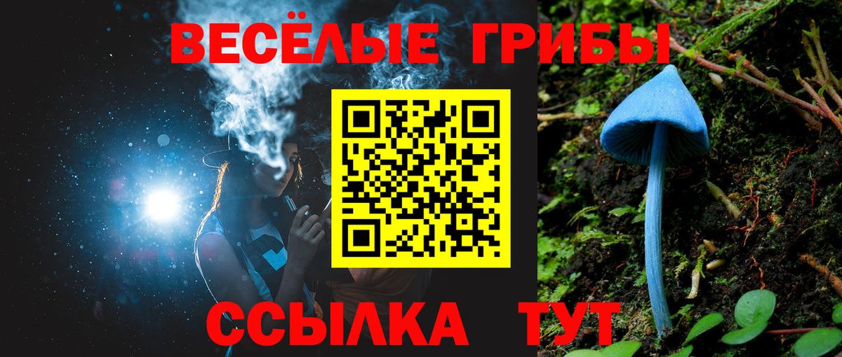 Псилоцибиновые грибы мухоморы Борисоглебск