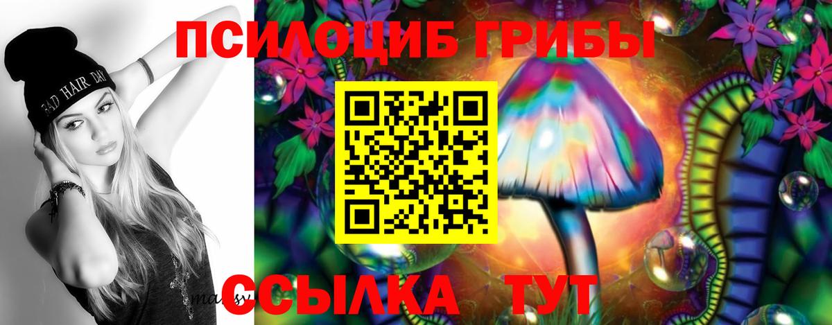 Борисоглебск  Галлюциногенные грибы MAGIC MUSHROOMS  Вход с VPN 